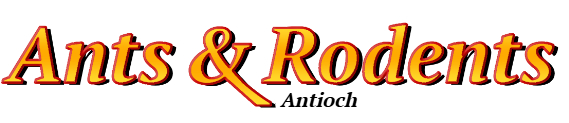 Antioch Ant Exterminator & Rodent Control Company Logo